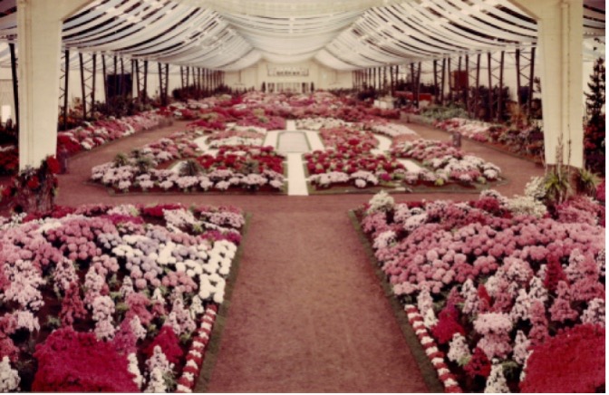 Foto Floraliën 1955 in Floraliënpaleis De Floraliën van 1955, Collectie Koninklijke Maatschappij voor Landbouw en Plantkunde (KMLP)