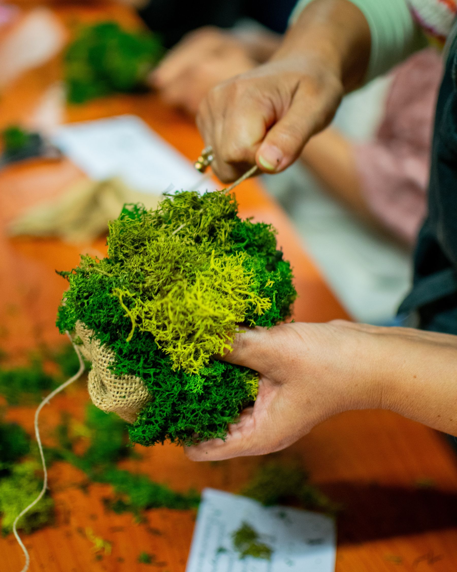 Foto van mosbol Fot van handen die mosbol maken