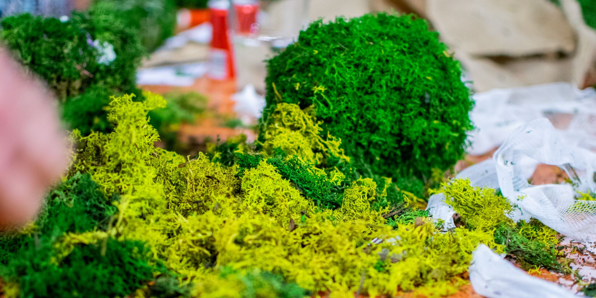 Floraliën Gent 2026_Mosbollen Beeld van mos op tafel en andere knutselbenodigdheden rondom gemaakte mosbol