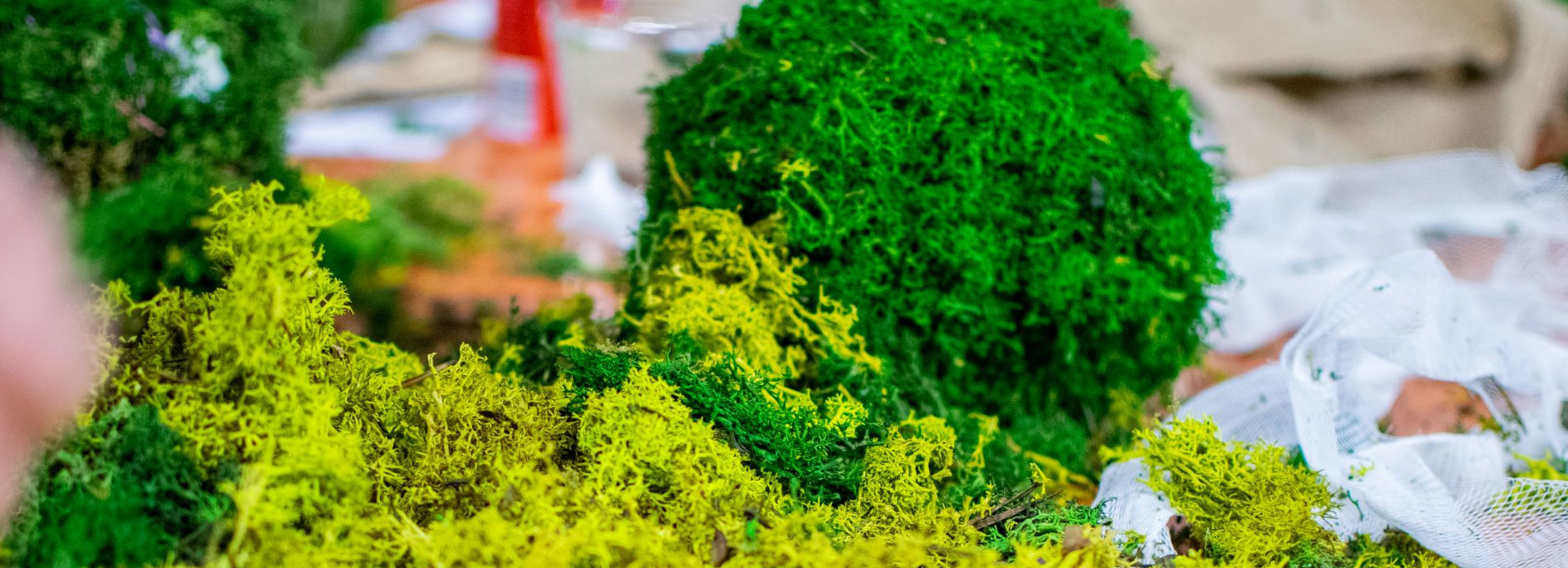 Beeld van mos op tafel en andere knutselbenodigdheden rondom gemaakte mosbol