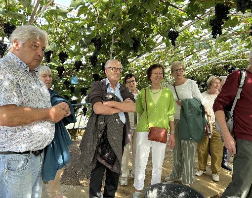 Bezoek Overijse Tafeldruif