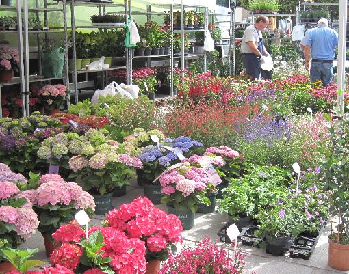 250 jaar bloemenmarkt Kouter Gent