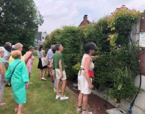 2024_Vrienden van de Community  Groenvoorziening VIAVERDA